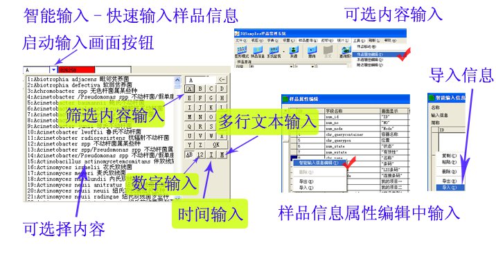������Ʒ����SQSamples�����������봰�ڽ���